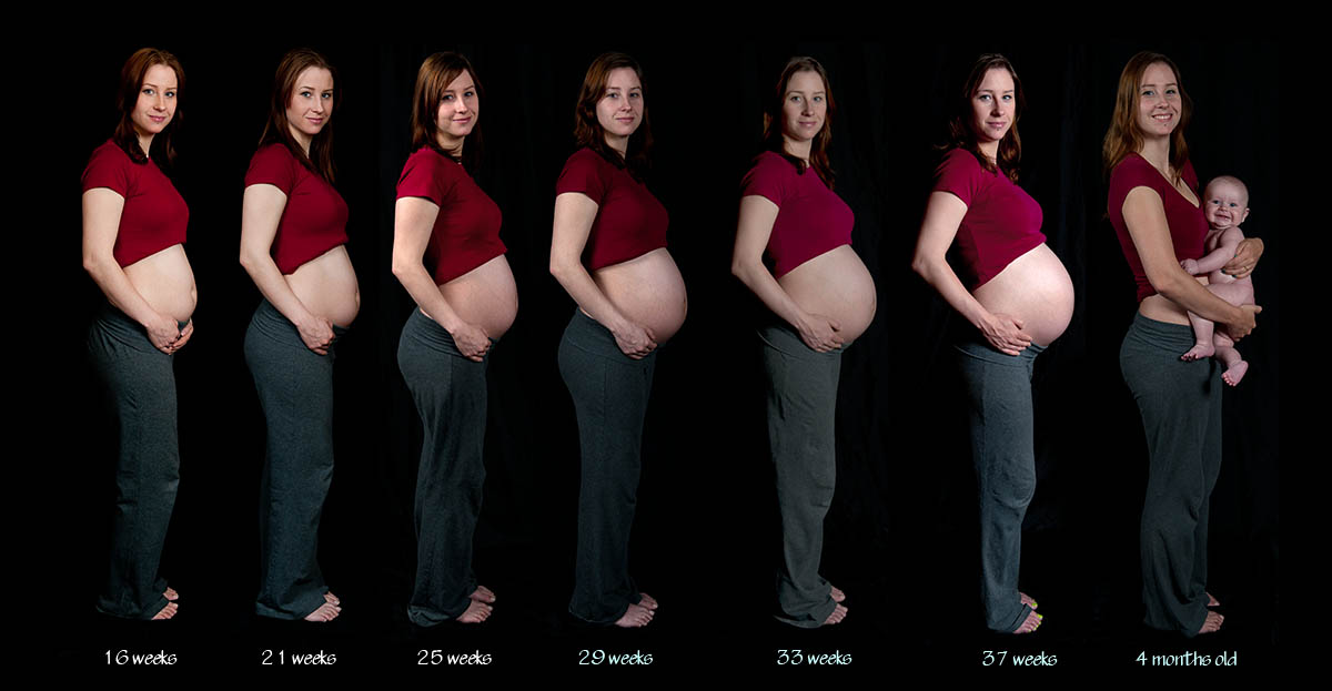pregnancy-sequence