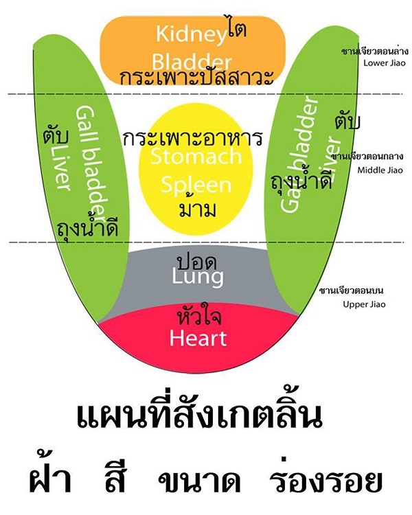 tongue-map