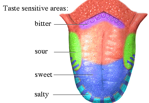 tongue-taste