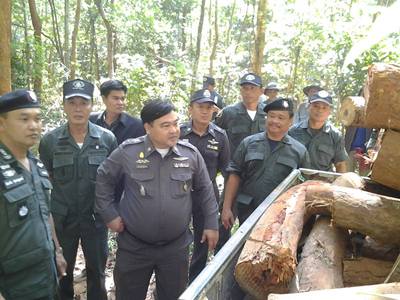 arrests-forest