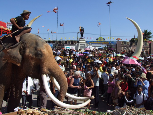 elephant-food