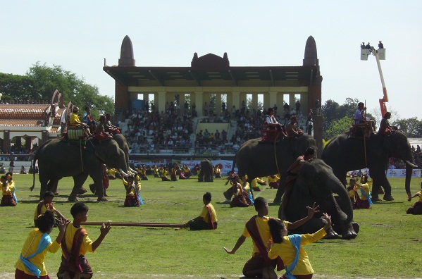 elephant-show