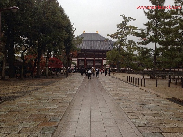 Todaiji-Temple